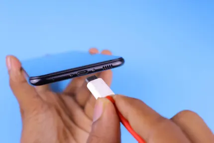 Kazino Mobile Wins Mobilioji programa